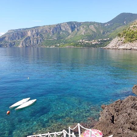 Bed And Breakfast Tenuta Palmieri Only Adult Maratea Exterior foto