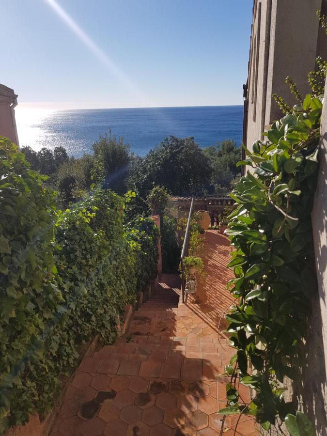 Bed And Breakfast Tenuta Palmieri Only Adult Maratea Exterior foto